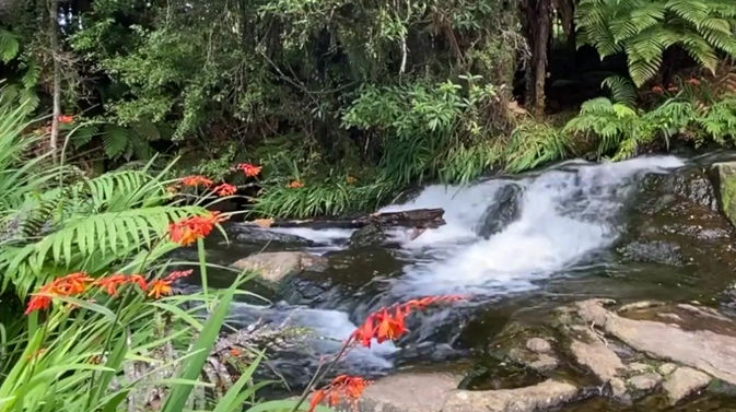 Engel des Wassers Meditation